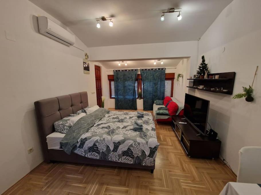 Warm House Full Of Green Ambient,Joy And Comfort Zagrzeb Zewnętrze zdjęcie