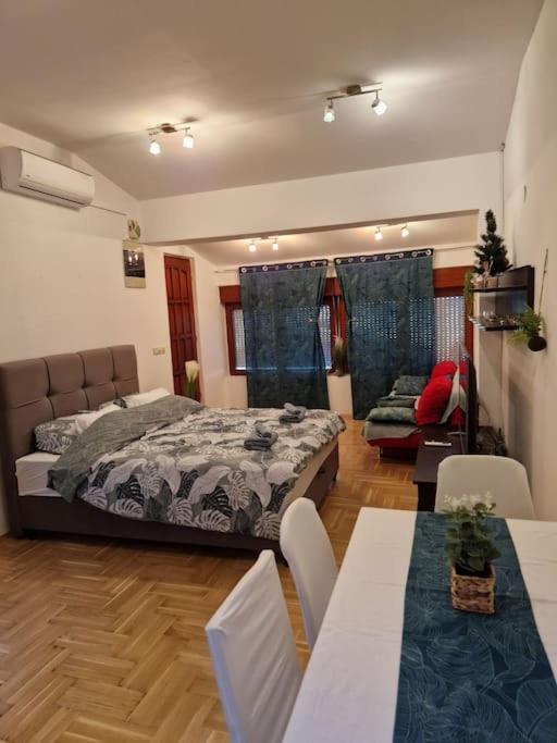 Warm House Full Of Green Ambient,Joy And Comfort Zagrzeb Zewnętrze zdjęcie